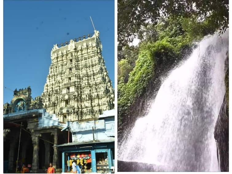 Travel Nellai Agasthiyar Falls to celebrate summer with family at low cost TNN Agasthiyar Falls: நெல்லையில் இயற்கை சூழ் ஓர் அழகிய சுற்றுலா தலம்... குடும்பத்துடன் குறைந்த செலவில் கோடையை கொண்டாடலாம்..!