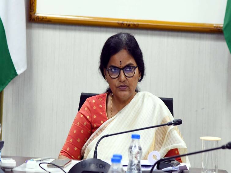 Hyderabad CS Santhi Kumari says On February 26 double bedroom houses beneficiaries completed CS Santhi Kumari : ఈ నెల 26 నాటికి డబుల్ బెడ్ రూం ఇళ్ల లబ్దిదారుల ఎంపిక - సీఎస్ శాంతి కుమారి