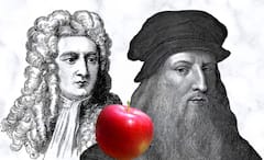 Leonardo da Vinci: জন্মই হয়নি নিউটনের, ছিল না আপেল গাছও, ঢের আগেই সারসত্য বুঝেছিলেন দা ভিঞ্চি!
