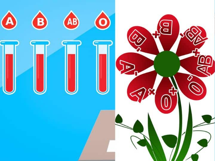 how blood groups affect your body what is the connection between blood group and health which blood group is prone to which disease अनजान होते हुए भी सेम ब्लड ग्रुप वाले लोगों में होता है ये खास कनेक्शन...इस मामले में झेलते हैं एक जैसी स्थिति