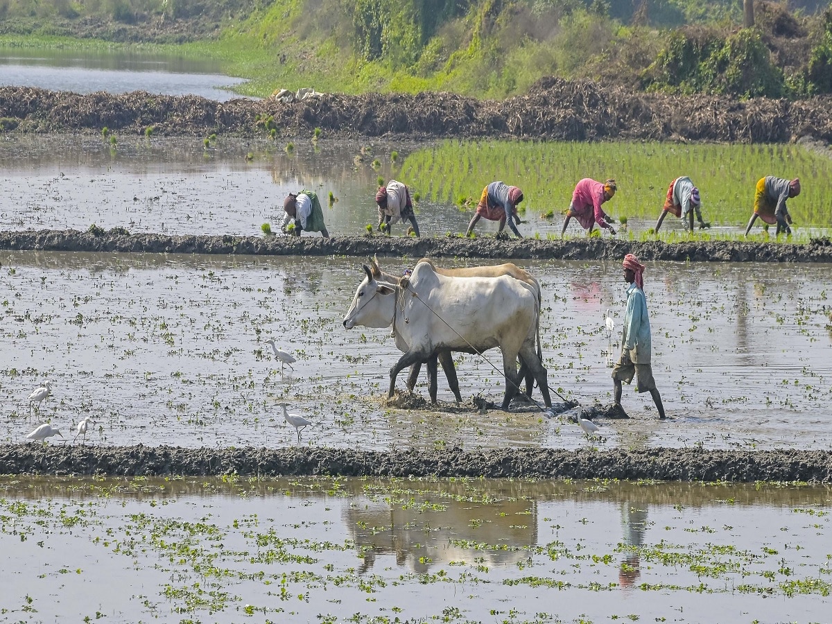 Kisan Divas 2020 – Understanding the Indian Farmer - Rishihood University,  Delhi NCR