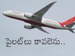 Air India: పైలట్‌ల కోసం ఎయిర్ ఇండియా వెతుకులాట, కొత్త ఫ్లైట్‌లు నడిపేందుకట!