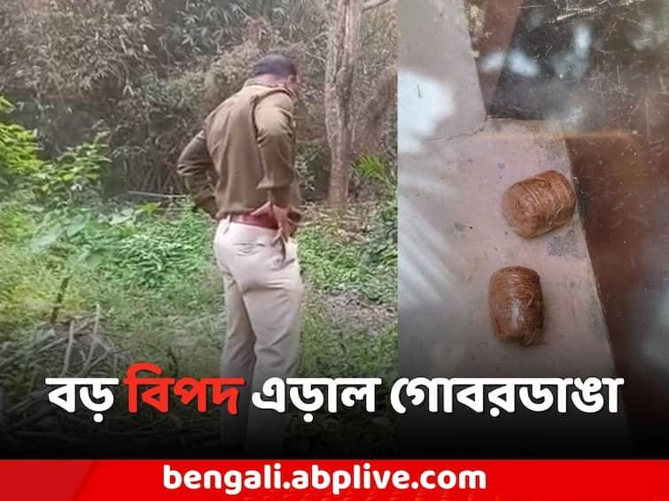 North 24 Parganas News bomb rescue in Gobardanga North 24 Parganas News: বাড়ির পরিচারিকার চোখেই পড়ল ধরা, বড় বিপদ এড়াল গোবরডাঙা