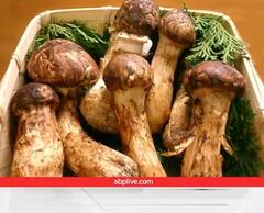 Most Expensive Mushroom: ਇਹ ਹਨ ਦੁਨੀਆ ਦੇ ਸਭ ਤੋਂ ਮਹਿੰਗੇ ਮਸ਼ਰੂਮਜ਼, ਐਡਵਾਂਸ 'ਚ ਕੀਤੀ ਜਾਂਦੀ ਹੈ ਬੁਕਿੰਗ ਤੇ ਮਿਲਦੈ ਲੱਖਾਂ ਦਾ ਮੁਨਾਫਾ