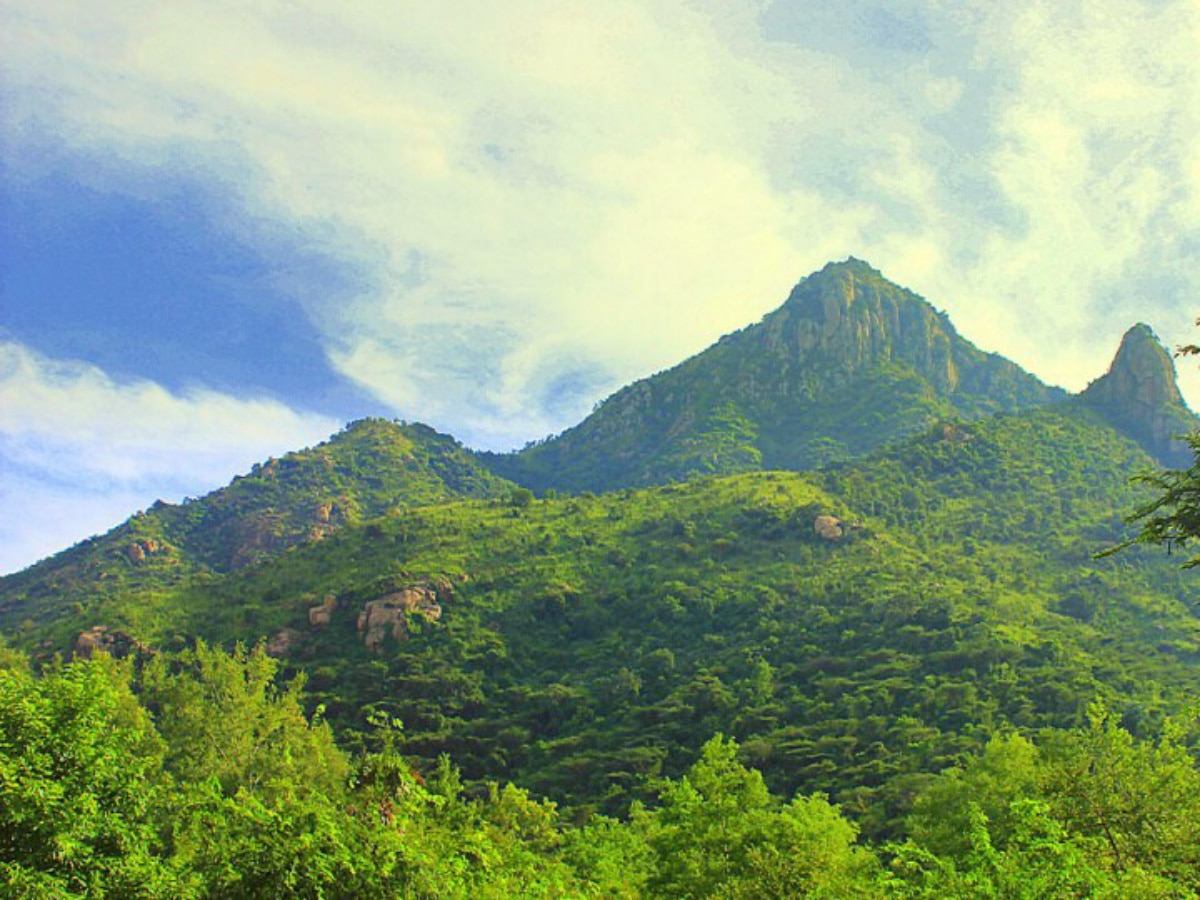 Pavazhakundru Tiruvannamalai: திருவண்ணாமலை வரும் பக்தர்கள் பவழக்குன்றுக்கு செல்ல திட்டமிடுங்கள் - அங்கு என்ன ரகசியம்..?