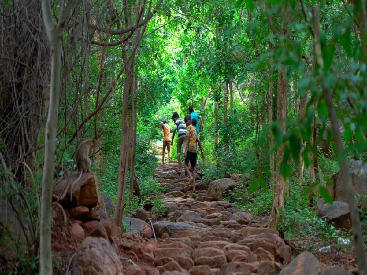 Pavazhakundru Tiruvannamalai: திருவண்ணாமலை வரும் பக்தர்கள் பவழக்குன்றுக்கு செல்ல திட்டமிடுங்கள் - அங்கு என்ன ரகசியம்..?