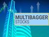 Multibagger stocks: FIIల స్వీట్‌ హార్ట్స్‌గా నిలిచిన స్టాక్స్‌ ఇవి - అన్నీ మల్టీబ్యాగర్లే