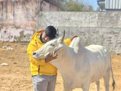 Junaid-Nasir Murder: कौन है गौरक्षक मोनू मानेसर? जिसपर लगा मुस्लिम युवकों की हत्या का आरोप, पहले भी दर्ज हो चुकी हैं कई FIR