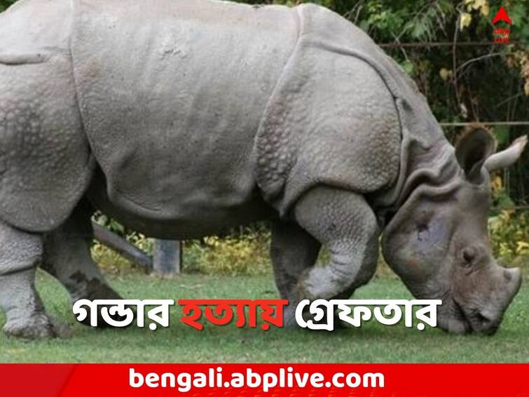 Alipurduar News main accused arrested due to Rhino murder Case Alipurduar News: গন্ডার হত্যার জের, গ্রেফতার উত্তর-পূর্ব ভারতের চোরাশিকারের 'কিংপিন'