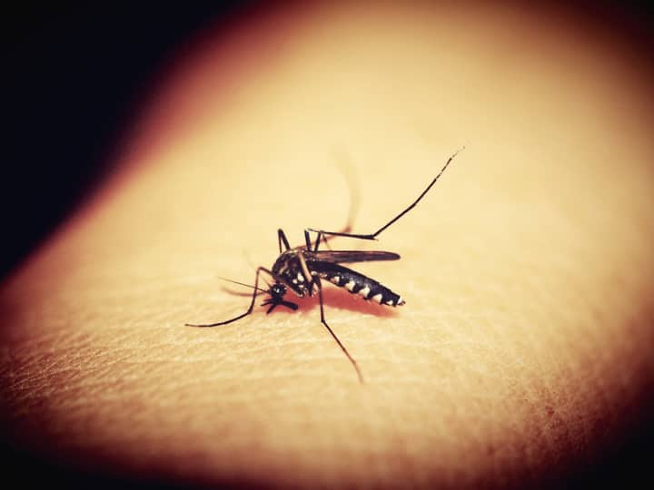 Why Do Mosquitoes Bites Know Why Does The Skin Swell When They Bite मच्छर के काटने की जगह से स्किन फूल क्यों जाती है? ये होता है इसका कारण