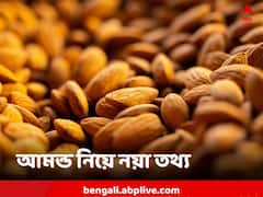 Almond Benefits: ডায়াবেটিসে লাগাম দিতে চান? রোজ পাতে থাকুক আমন্ড, বলছে সমীক্ষা