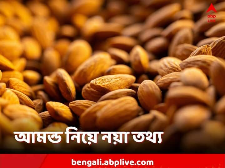 Almond for Diabetes: আমন্ড খেলে কী কী উপকার মেলে, তা নিয়েই গবেষণা হয়েছে।