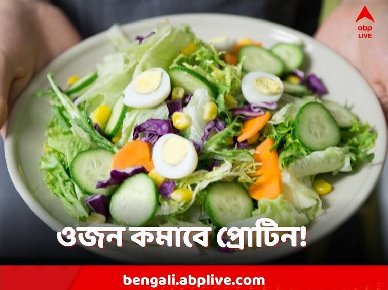 know these foods with protein which can help to loose weight, know this health tips Diet Plan: প্রোটিনে ঠাসা ডায়েট চান? সহজেই মিলবে কী কী?