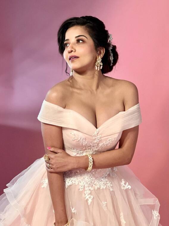 एक्टिंग में कदम रखने से पहले ये काम करती थीं मोनालिसा