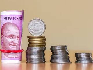 Income Tips: এই বিশেষ ব্যাঙ্কগুলি দিচ্ছে ৯.৫ শতাংশ সুদ, সেভিংসে টাকা রাখলে লোকসান