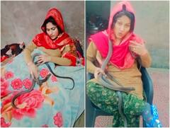 बिस्तर पर बैठ आराम से खतरनाक सांपों को सहलाते नजर आई महिला, ये देख आप भी दंग रह जाएंगे