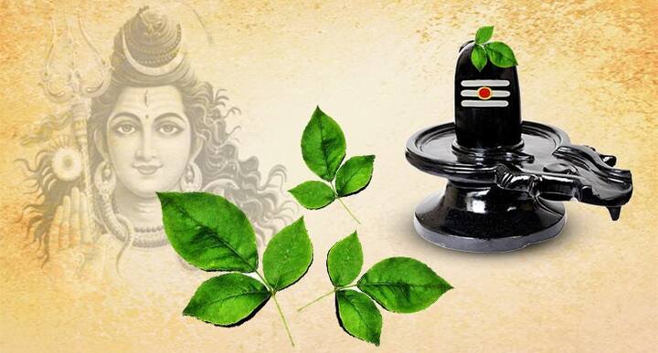 ज्या लोकांना शनि साडेसातीचा त्रास होत असेल, त्यांनी या दिवशी पाण्यात काळे तीळ मिसळून भगवान शंकराचा जलाभिषेक करावा. यामुळे साडेसातीचे दुष्परिणाम कमी होतील.