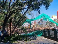 Delhi: पास खड़े वाहन पर गिरा मेट्रो पिलर की शटरिंग का टुकड़ा, 1 व्यक्ति घायल, अस्पताल में भर्ती 