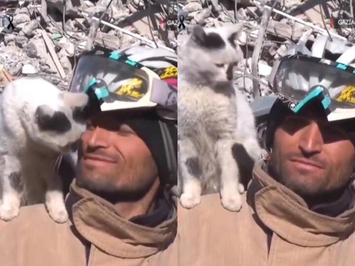 cat rescued from the rubble of Turkey earthquake viral video Turkey Earthquake: मलबे से निकली बिल्ली ने बचावकर्मी को छोड़ने से किया इनकार, Video में दिखी स्वीट बॉन्डिंग