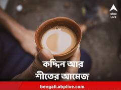 শহরে বাড়ল তাপমাত্রা, কদ্দিন আর থাকবে আমেজ?