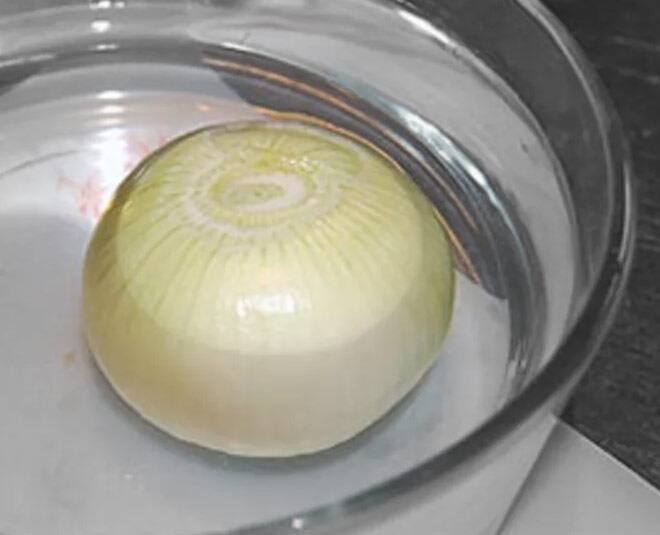 अगर आपके पास ना नींबू है और ना ही विनेगर है, ऐसे में आप सिर्फ प्याज को पानी में डुबोकर कुछ देर के लिए रख दें ऐसा करने से प्याज में मौजूद जो रसायन होते हैं,वो नष्ट हो जाते हैं और आप के आंसू नहीं निकलते.