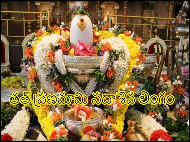 Maha Shivratri 2023 Lingashtakam meaning and how importance to read, why worship Shiva Lingam know in telugu Maha Shivratri 2023 Lingashtakam: లింగాష్టకంలో ప్రతి పదం వెనుక ఇంత అర్థం ఉందా!