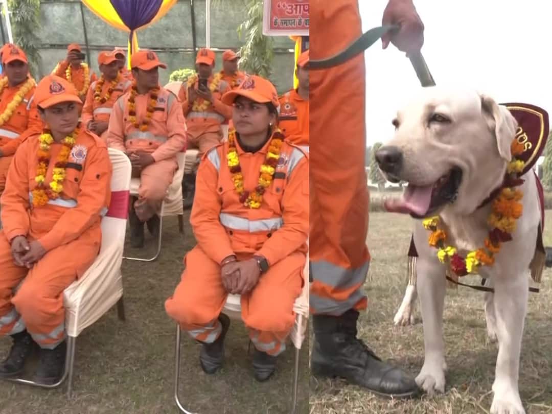 Operation Dost: NDRF Team With Dog Squad Returns From Turkiye After 10-Day-Long Rescue Operations Operation Dost: NDRF Team With Dog Squad Returns From Turkiye After 10-Day-Long Rescue Operations
