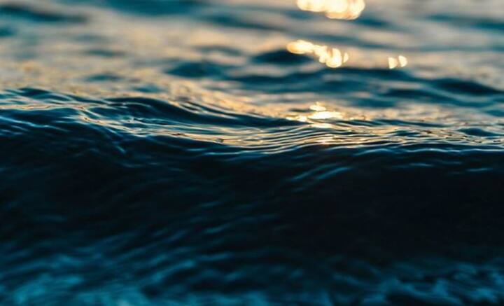 কিন্তু পৃথিবীর তিনভাগ জলে হলেও, সমুদ্রের লবণাক্ত জল মুখে দিতে পারি না আমরা। তাতে তৃষ্ণাও মেটে না। আবার জোর করে বেশি পরিমাণ গলায় ঢাললে জলশূন্যতা থেকে মৃত্যু পর্যন্ত হতে পারে।