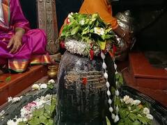 Mahashivratri 2023: 'बम बम भोले'च्या गजरात औंढा नागनाथ नगरी दुमदुमली; महादेवाच्या दर्शनासाठी भाविकांची गर्दी