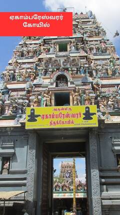 Mahashivratri 2023: 'கோபுர தரிசனம் கோடி புண்ணியம்..’ மகாசிவராத்திரியன்று சிவனின் அருளை பெற வேண்டுமா?