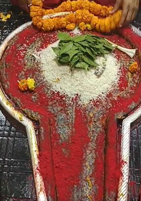 দুপুরে হয় রুদ্রাভিষেক।বিকেলে মন্দির চত্বরের প্রতিটি মন্দিরের গর্ভগৃহ থেকে গোটা চাতাল জল দিয়ে ধুয়ে ফেলা হয়। সাঁঝের বাতি জ্বলে উঠলে বৈদ্যনাথ-পার্বতী-সহ সমস্ত মন্দিরে শুরু হয় সন্ধ্যারতি। সেই দৃশ্য চাক্ষুষ করতে ভক্তের স্রোত উপচে পড়ে মন্দির চত্বরে।