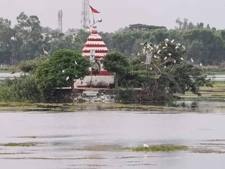 छत्तीसगढ़ के बस्तर को शिवधाम कहा जाता है और यहां भगवान शिव के 300 से अधिक मंदिर हैं, इनमें से कुछ ऐसे प्रसिद्ध मंदिर हैं जो बस्तर के रियासत काल से स्थापित हैं.