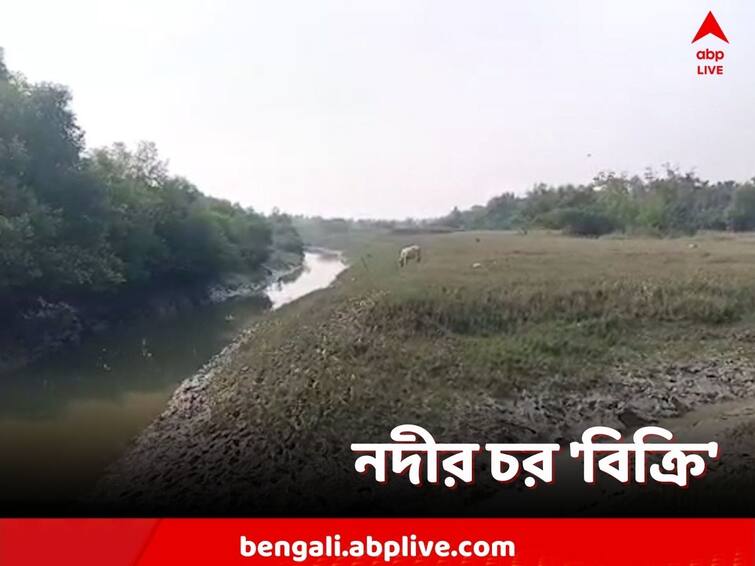 South 24 Parganas, In Kakdwip, there was a complaint about the sale of river bed with the support of TMC panchayat chief South 24 Parganas: নদীর চর বিক্রির অভিযোগ, কাঠগড়ায় পঞ্চায়েত প্রধান