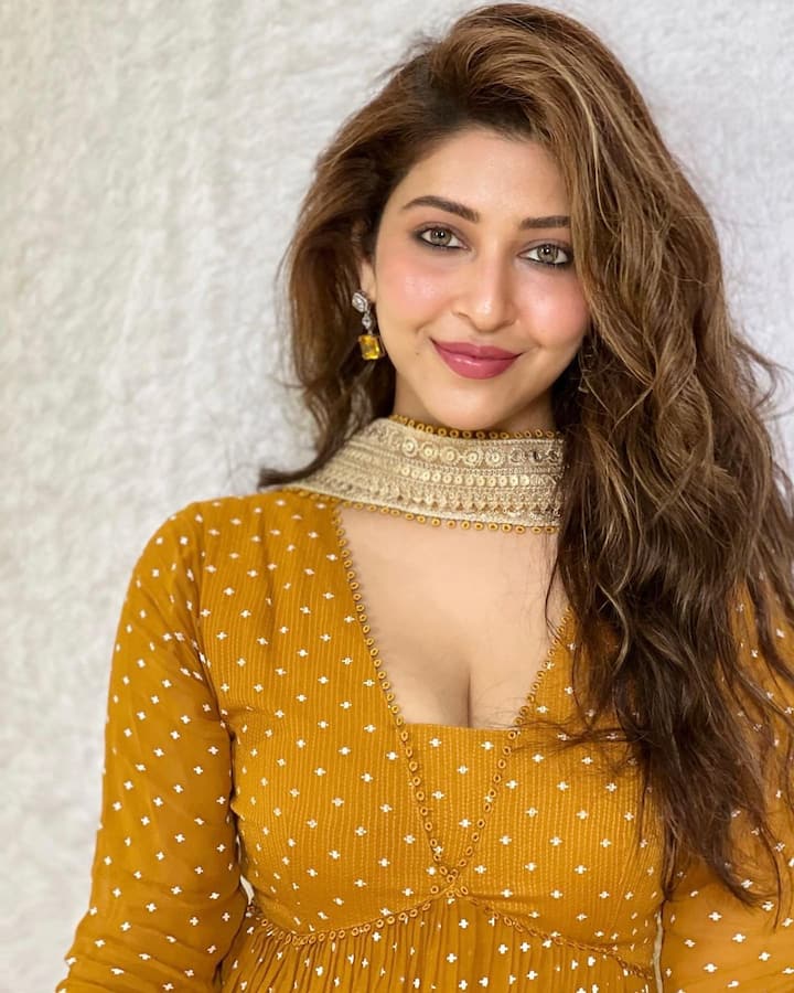 सोनारिका भदौरिया ने भले ही इस शो के बाद कई शोज किए, लेकिन उन्हें टीवी की पार्वती के नाम से ही जाना जाता है. जल्द ही वह अपने रियल लाइफ ‘शिव’ के साथ शादी के बंधन में बंधने वाली हैं.