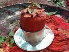 Mahashivratri: व्रत और जलाभिषेक से भोलेनाथ होंगे प्रसन्न, शिव पूजन से हासिल होगी सुख-समृद्धि