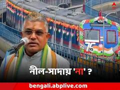 'ভাবছে, এভাবেই নির্বাচন জিতে যাবে', মেট্রোর পিলারের রঙের ইস্যুতে খোঁচা দিলীপের