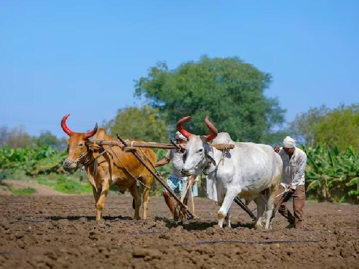 PM Kisan: होली से पहले इस दिन आ सकती है पीएम किसान की 13वीं किस्त, लिस्ट में चेक करें अपना नाम