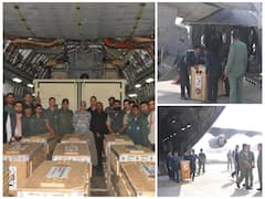 India Welcomes Second Batch Of Cheetahs From South Africa. In Pics