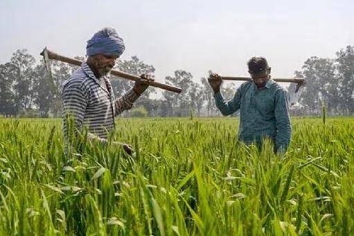 eKYC ਕਰਵਾਉਣਾ ਵੀ ਹੈ ਜ਼ਰੂਰੀ : ਪ੍ਰਧਾਨ ਮੰਤਰੀ ਕਿਸਾਨ ਸਨਮਾਨ ਨਿਧੀ ਯੋਜਨਾ ਦਾ ਲਾਭ ਲੈਣ ਲਈ, ਲਾਭਪਾਤਰੀਆਂ ਲਈ ਆਪਣਾ eKYC ਪੂਰਾ ਕਰਨਾ ਜ਼ਰੂਰੀ ਹੈ। EKYC ਲਾਭਪਾਤਰੀ ਆਪਣੇ ਆਧਾਰ ਨੂੰ PM-ਕਿਸਾਨ ਪੋਰਟਲ ਅਤੇ ਮੋਬਾਈਲ ਨੰਬਰ ਨਾਲ ਇੱਕ OTP ਰਾਹੀਂ ਲਿੰਕ ਕਰ ਸਕਦੇ ਹਨ ਜਾਂ ਉਹ ਆਪਣੇ ਨਜ਼ਦੀਕੀ ਕੇਂਦਰਾਂ 'ਤੇ ਜਾ ਸਕਦੇ ਹਨ ਅਤੇ ਬਾਇਓਮੈਟ੍ਰਿਕਸ ਦੀ ਮਦਦ ਨਾਲ eKYC ਅੱਪਡੇਟ ਕਰਵਾ ਸਕਦੇ ਹਨ।