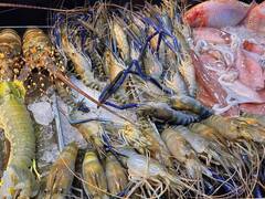 इंडियन एक्सपोर्टर्स के लिए अच्छी खबर, कतर ने भारत से फ्रोजन सीफूड के आयात पर से बैन हटाया