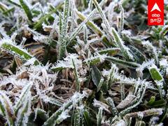Snow in kodaikanal : ”சட்டென்று மாறுது வானிலை...” கொடைக்கானலில் கொட்டும் உறை பனி..