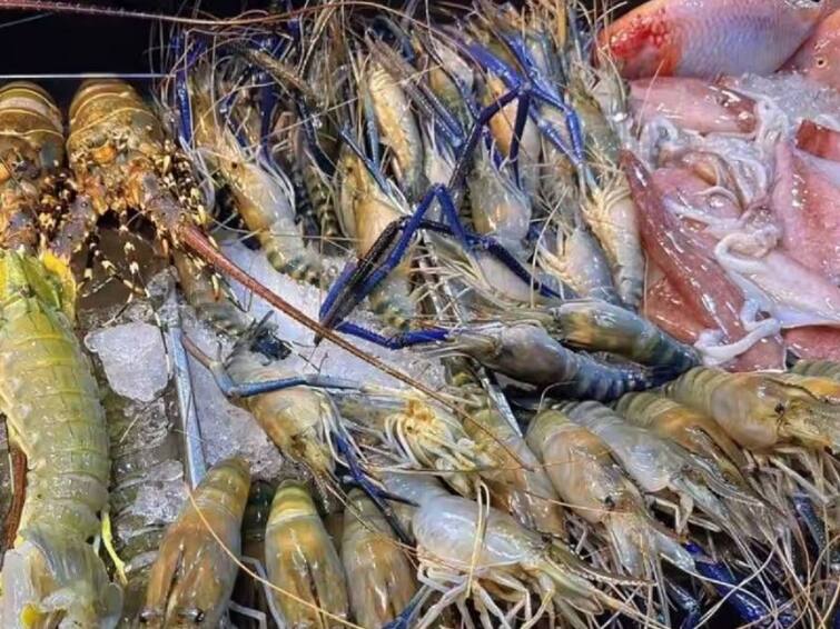 import Export News Qatar lifts ban on frozen seafood from India  Seafood : कतारने सीफूडच्या आयातीवरील बंदी उठवली, भारतातून निर्यात होण्याचा मार्ग मोकळा