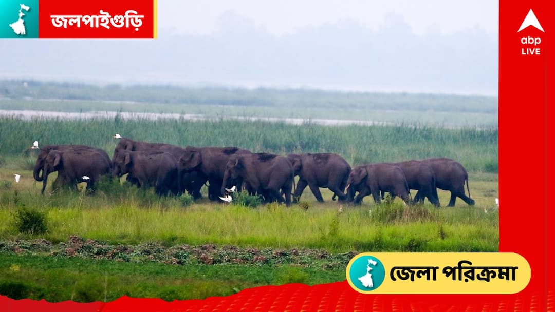 District Update: get to know about Jalpaiguri district history profile unknown facts and importance in details Jalpaiguri Profile: মাটিতে মিশে রয়েছে ইতিহাসের সোঁদা গন্ধ, স্নিগ্ধতায় মোড়া জলপাইগুড়িকে চিনুন অন্য় আঙ্গিকে