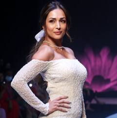 Malaika Arora : મલાઈકાની આ તસવીરો જોઈ ભલભલા થાપ ખાઈ જાય