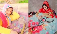 Viral Video: ਔਰਤ ਹੈ ਜਾਂ ਨਾਗਿਨ! ਇਹ ਔਰਤ ਸੱਪਾਂ ਨੂੰ ਕਰਦੀ ਹੈ 'ਪਿਆਰ'! ਬਿਸਤਰੇ 'ਤੇ ਇਕੱਠੇ ਲੇਟੇ ਹੋਏ ਆਉਂਦੇ ਹਨ ਨਜ਼ਰ