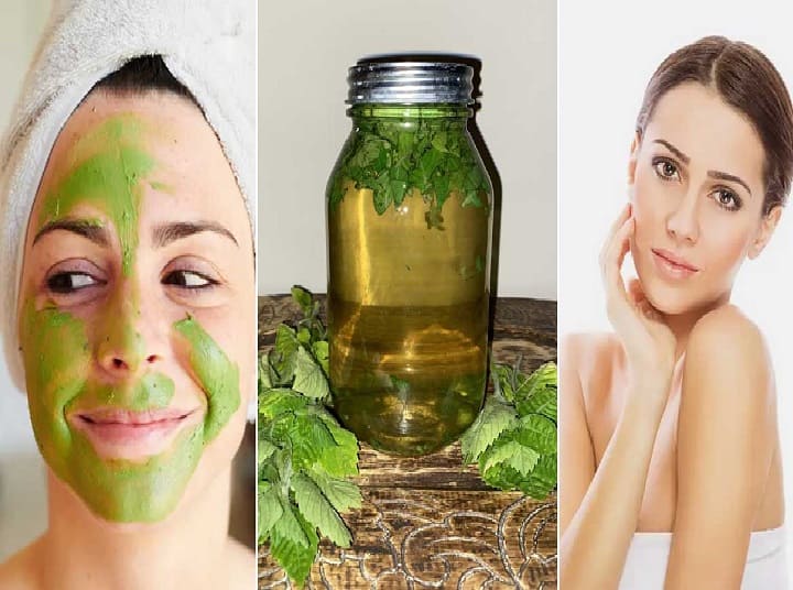 Add Tulsi to Your Skincare Routine for Amazing Results Skincare: ஆரோக்கியமான சருமத்திற்கு துளசியை எப்படி பயன்படுத்தலாம்?