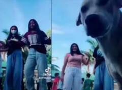 Funny Video: ਸੜਕ ਦੇ ਵਿਚਕਾਰ ਰੀਲ ਬਣਾ ਰਹੀਆਂ ਸਨ ਕੁੜੀਆਂ, ਅਚਾਨਕ ਕੁੱਤੇ ਨੇ ਆ ਕੇ ਕੀਤਾ ਸ਼ਰਮਨਾਕ ਕਾਰਾ