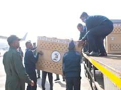 India Welcomes Second Batch Of Cheetahs From South Africa. In Pics