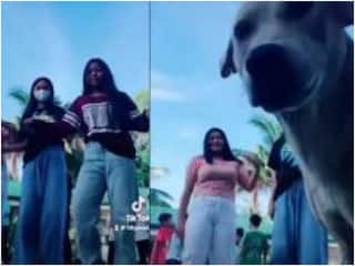 Video: बीच सड़क रील बना रही थी लड़कियां, अचानक कुत्ते ने आकर कर दी शर्मनाक हरकत