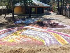 Shiv Jayanti 2023 : शिवजयंतीनिमित्त 35 बाय 40 फुटांची छत्रपती शिवाजी महाराजांची भव्य रांगोळी